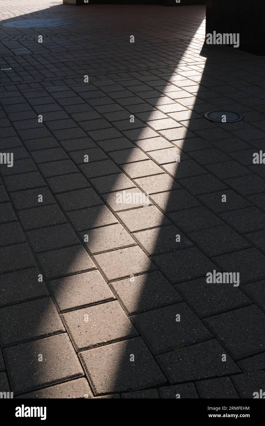Luce e ombra sulla pavimentazione in mattoni sotto la Elliott Tower nel campus della Oakland University Foto Stock