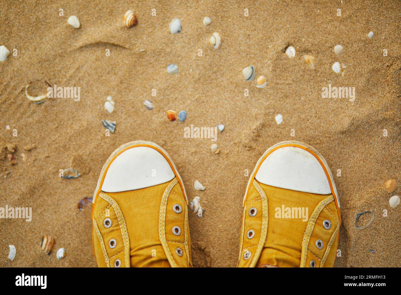 Primo piano di sneakers gialle sulla spiaggia di sabbia con molte conchiglie Foto Stock