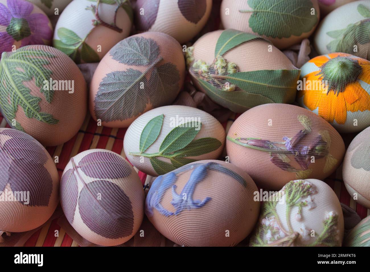 Preparazione delle uova per Pasqua, la tintura è fatta con ingredienti naturali presenti nelle erbe e nelle erbe Foto Stock