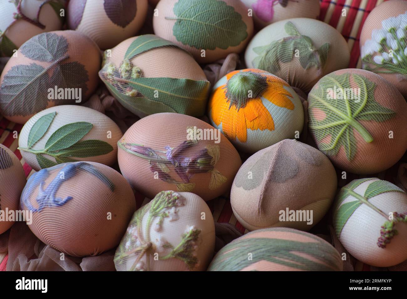 Preparazione delle uova per Pasqua, la tintura è fatta con ingredienti naturali presenti nelle erbe e nelle erbe Foto Stock