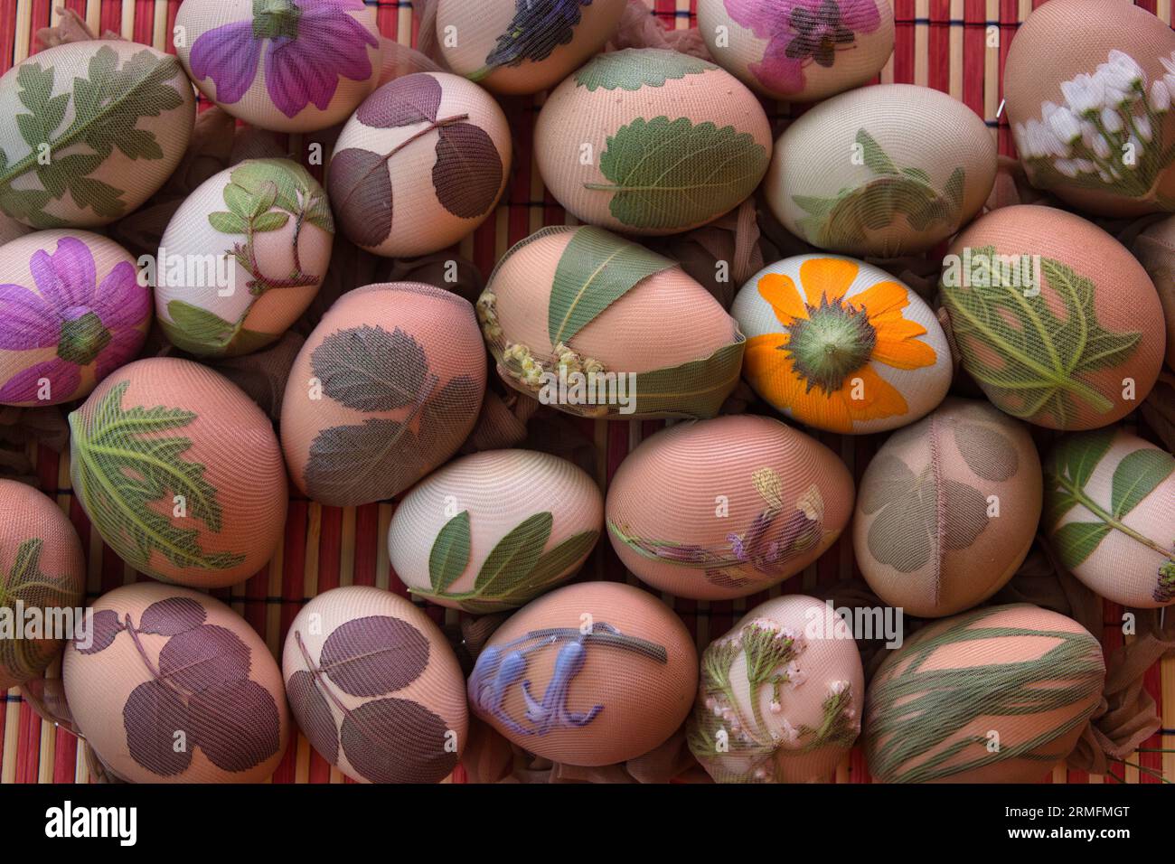 Preparazione delle uova per Pasqua, la tintura è fatta con ingredienti naturali presenti nelle erbe e nelle erbe Foto Stock