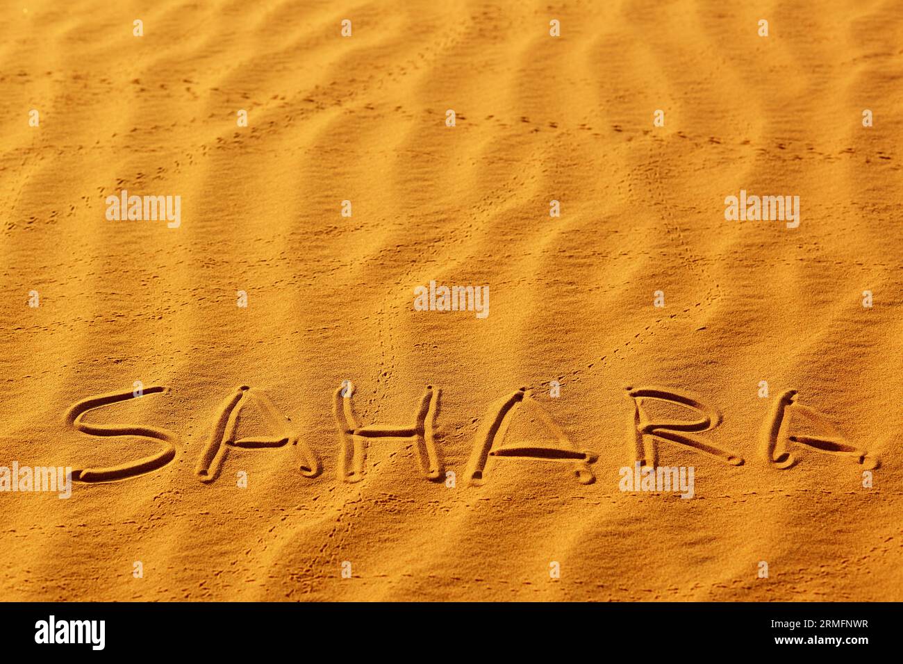 Parola Sahara scritta sulla sabbia nelle dune di sabbia del deserto del Sahara, Merzouga, Marocco Foto Stock