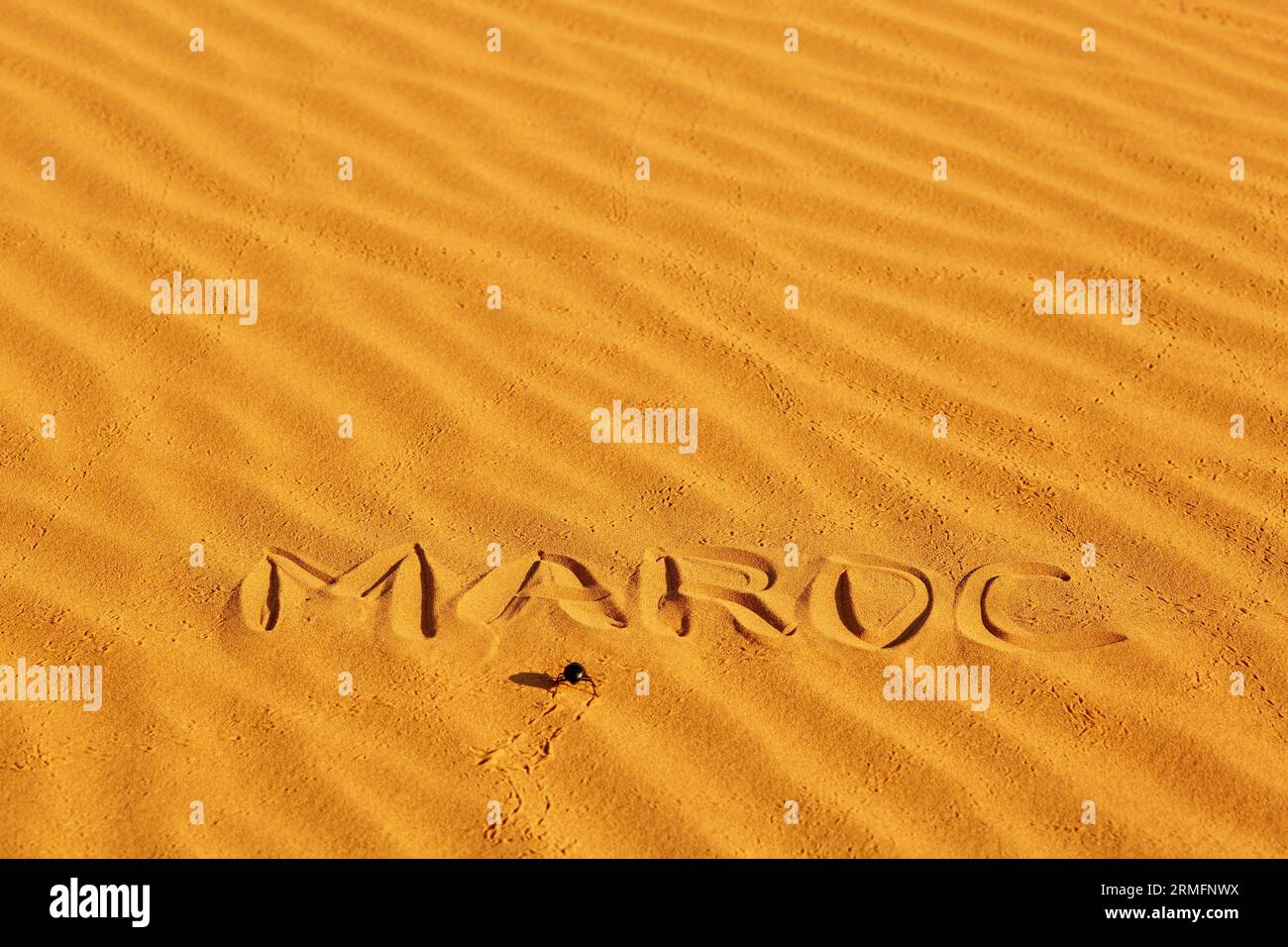 Parola francese Maroc scritta sulla sabbia nelle dune di sabbia del deserto del Sahara, Merzouga, Marocco Foto Stock
