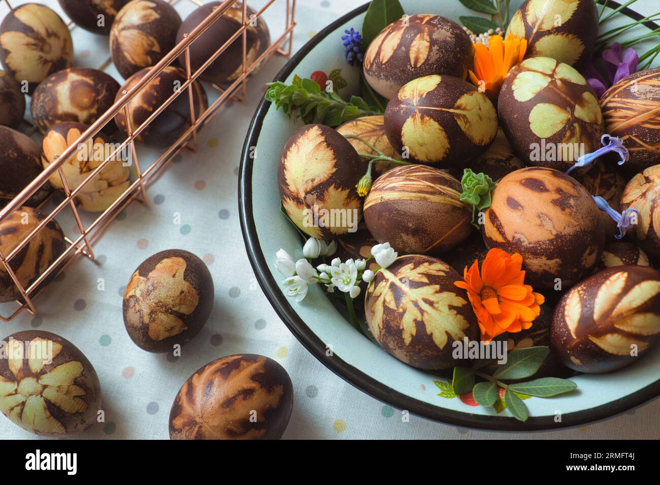 Preparazione delle uova per Pasqua, la tintura è fatta con ingredienti naturali presenti nelle erbe e nelle erbe Foto Stock