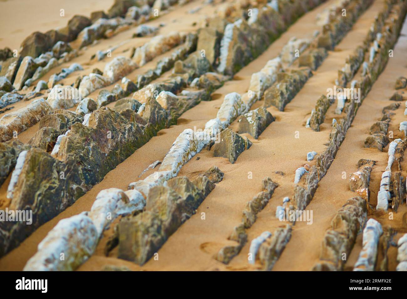 Famoso flysch di Zumaia, Paesi Baschi, Spagna. Flysch è una sequenza di strati di roccia sedimentaria che si sviluppano dalle acque profonde Foto Stock
