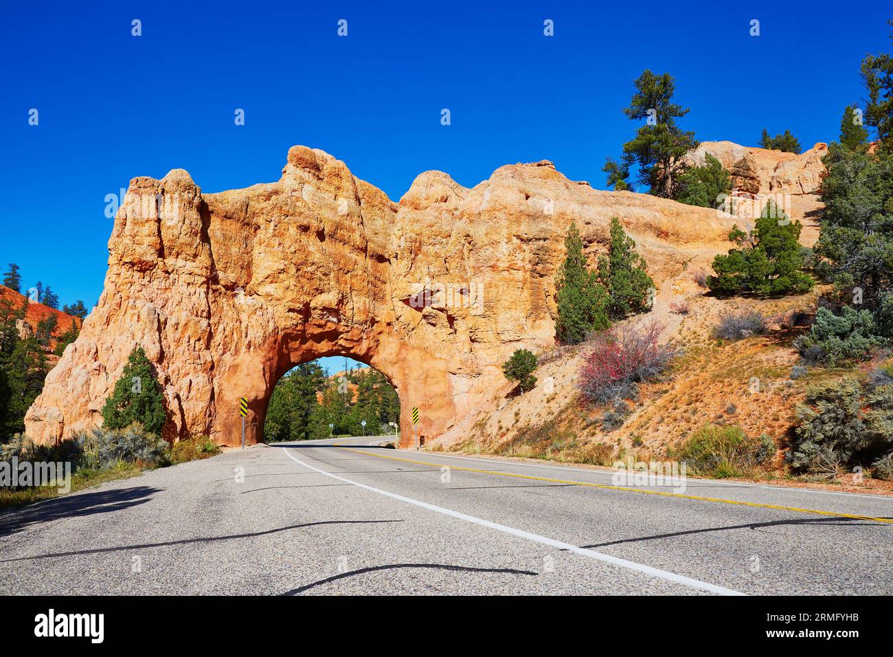 Vista panoramica dello splendido ponte naturale in arenaria rossa e della strada asfaltata nel Bryce Canyon National Park nello Utah, Stati Uniti Foto Stock