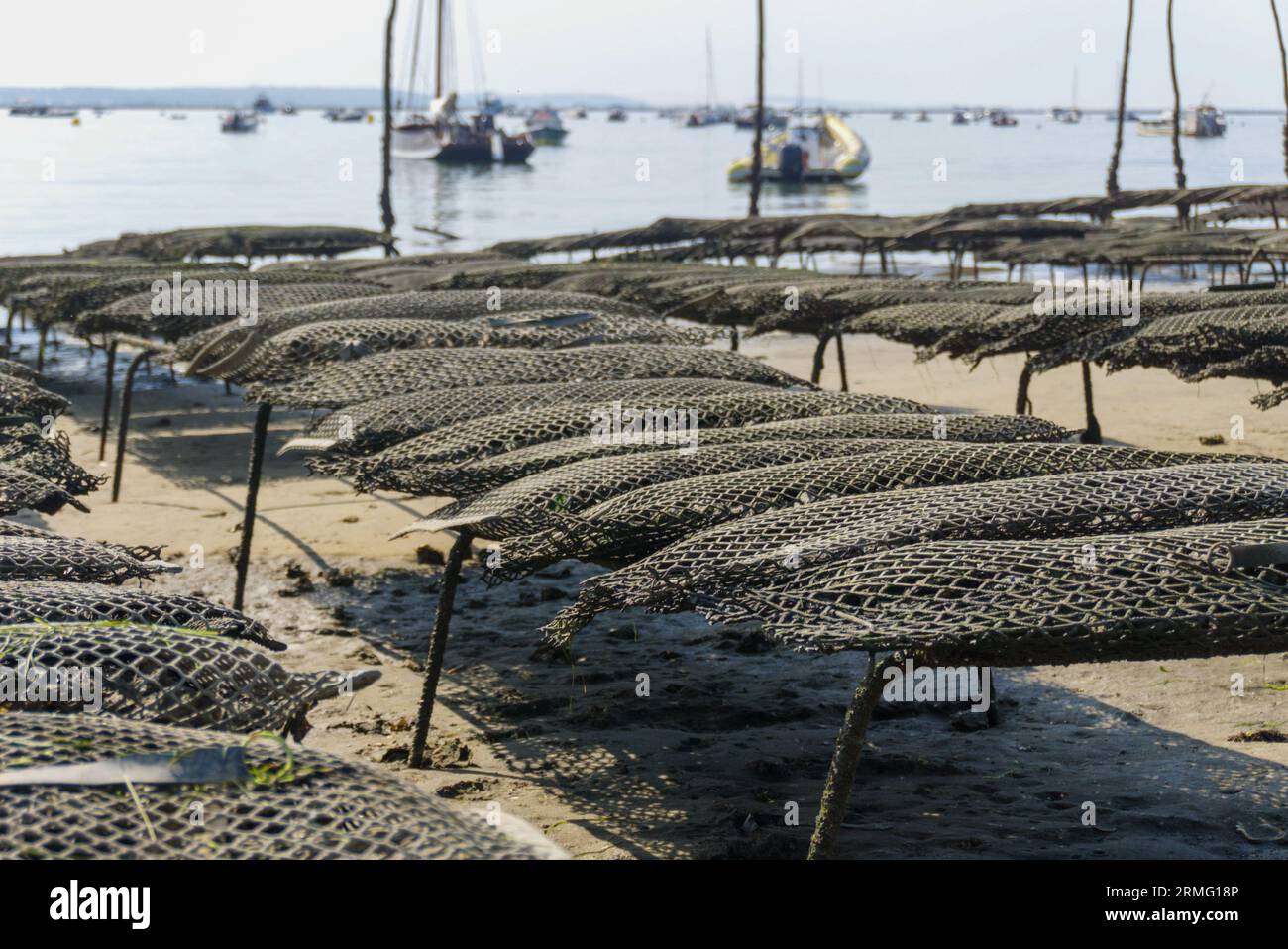 Il bacino di Arcachon è una destinazione molto popolare tra i turisti, soprattutto in estate. È noto per le sue eccellenti ostriche provenienti dalla zona Foto Stock