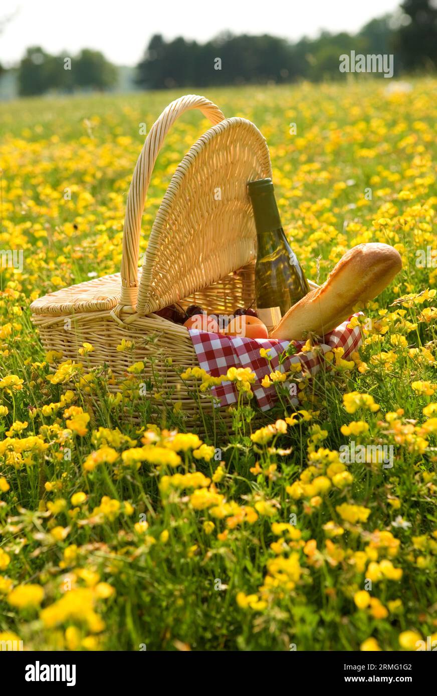 Cestino da picnic con vino, pane e frutta all'aperto in fiori gialli Foto Stock