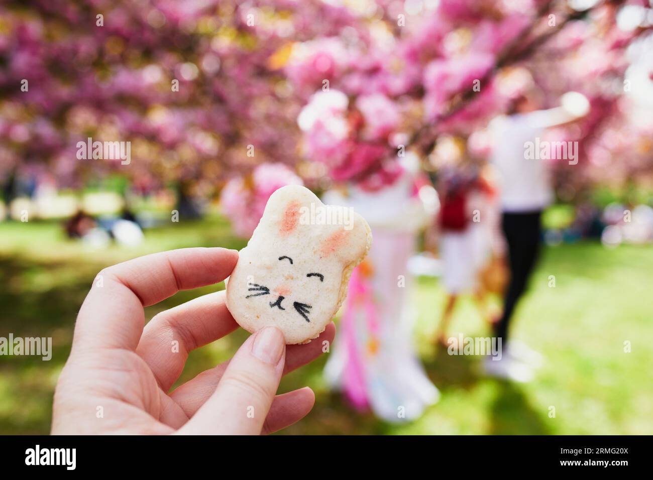 Donna che tiene a mano deliziosi macaroon dolci sotto forma di coniglio pasquale con giardino di fiori di ciliegio sullo sfondo. Festeggiamenti di Pasqua Foto Stock