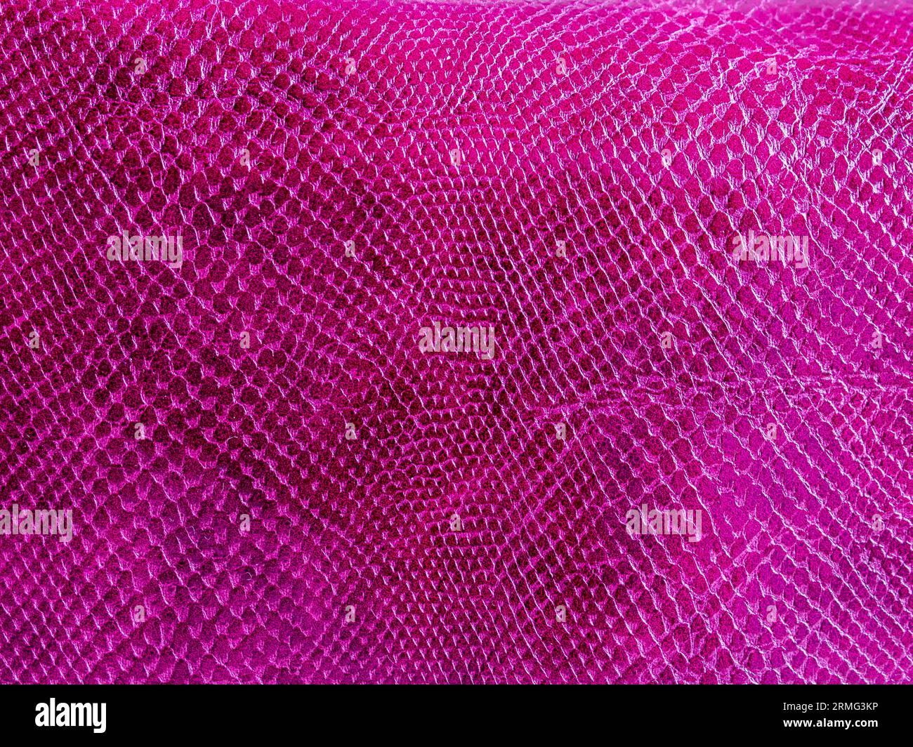 sfondo rosa con texture coccodrillo Foto Stock