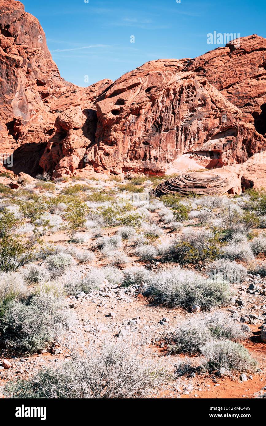 Formazioni rocciose nel Valley of Fire state Park in Nevada Foto Stock