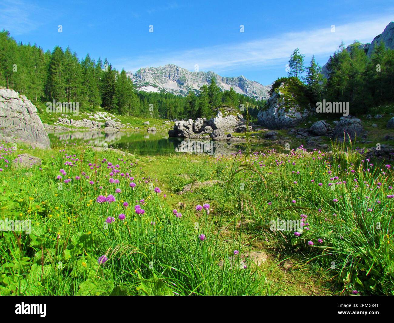 Doppio lago nella valle dei laghi del Triglav o valle dei sette laghi nel parco nazionale del Triglav e alpi Giulie nella regione slovena di Gorenjska con erba cipollina selvatica (A Foto Stock