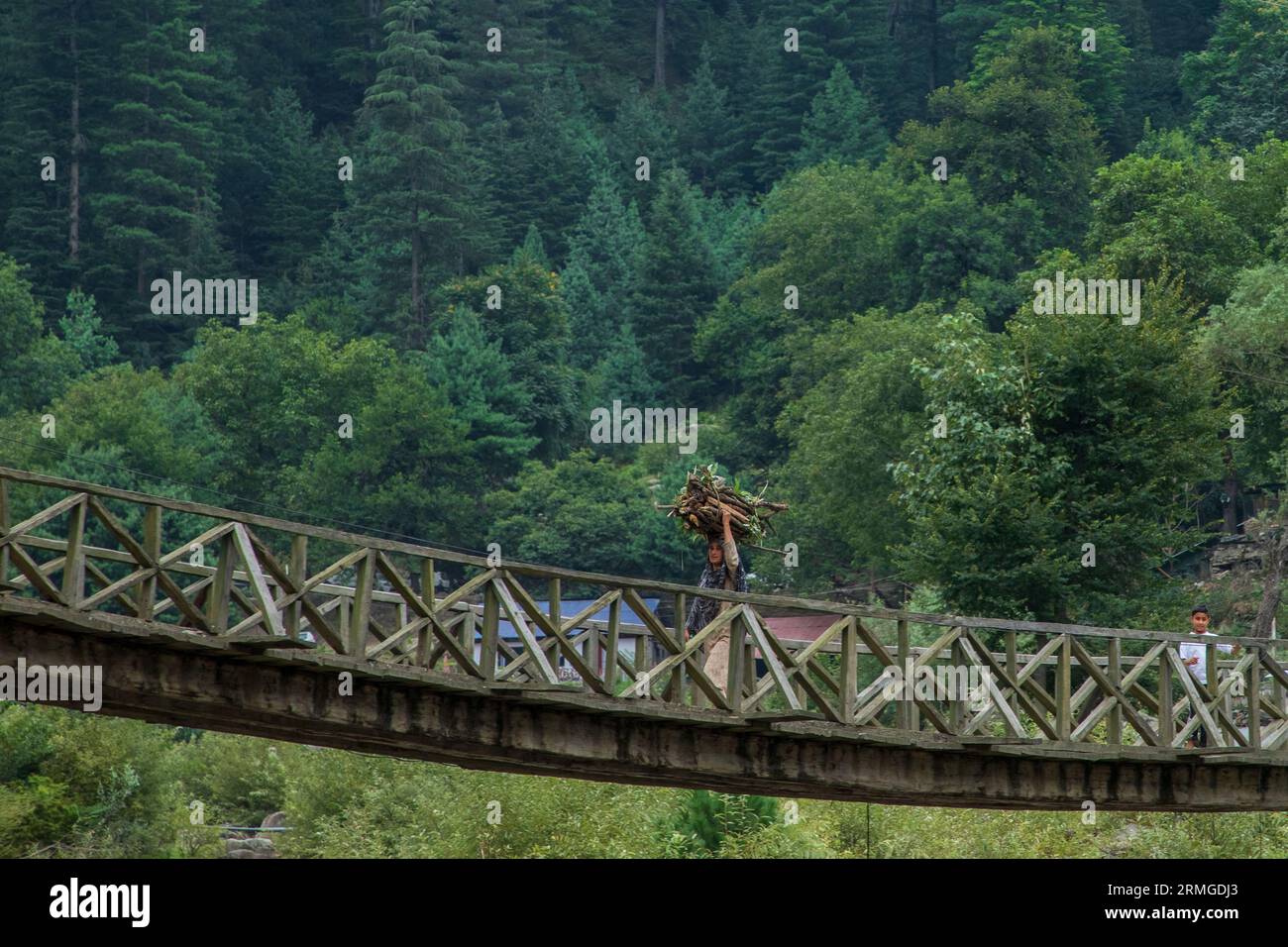 Keran, India. 25 agosto 2023. Una donna Kashmiri che trasporta legna da ardere mentre cammina attraverso un ponte di legno nel villaggio di Keran nel distretto di confine di Kupwara a circa 150 km a nord di Srinagar. Il villaggio di Keran si trova sulle rive del fiume Neelam o Kishan Ganga, sulla linea di controllo. Credito: SOPA Images Limited/Alamy Live News Foto Stock
