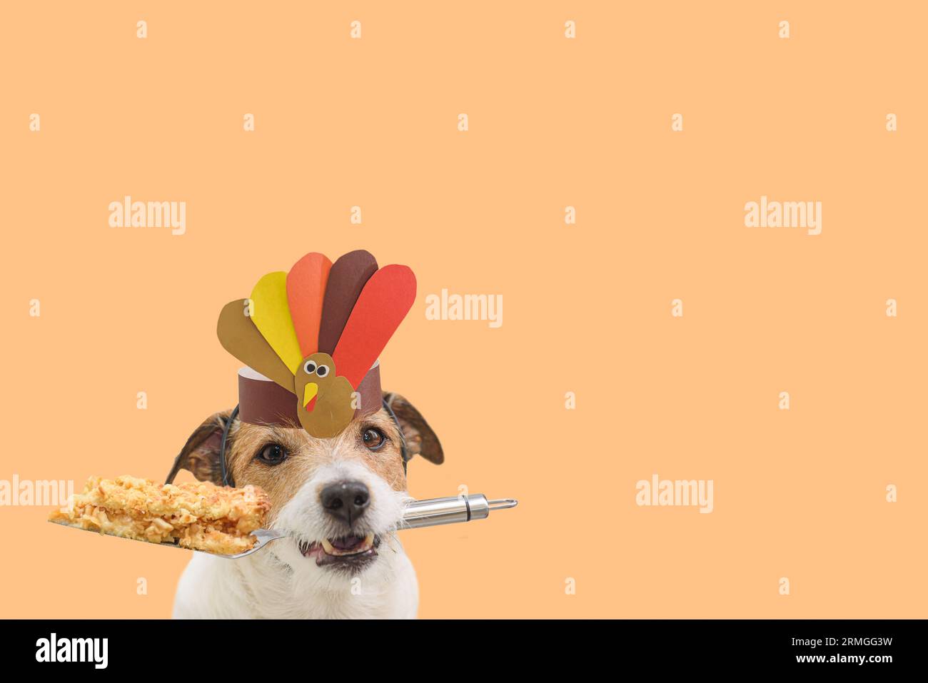 Divertente sfondo per il Ringraziamento con un cane che regge una torta di mele natalizie sulla spatola Foto Stock