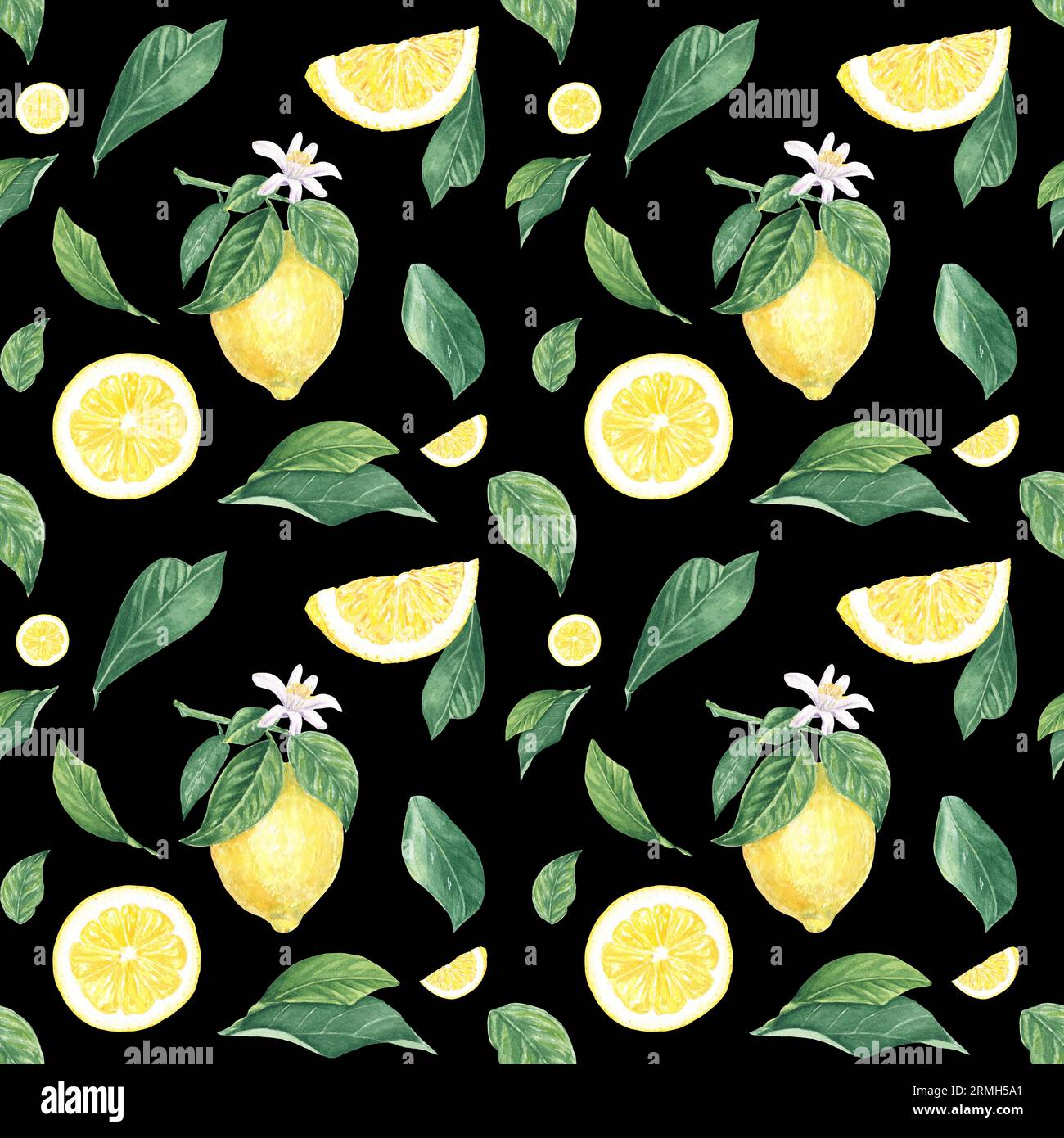 Acquerello senza cuciture limone, fette, fiore, foglie su sfondo nero, dipinto a mano in stile botanico, per le vacanze, matrimonio, food design Foto Stock