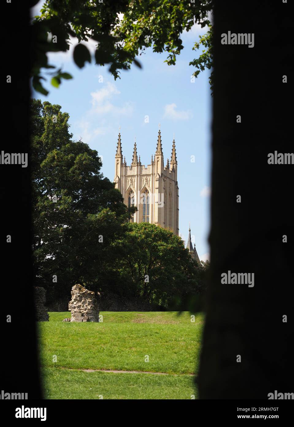 St Edmundsbury Cathedral from Abbey Gardens, Bury St Edmunds, Suffolk, Regno Unito Foto Stock