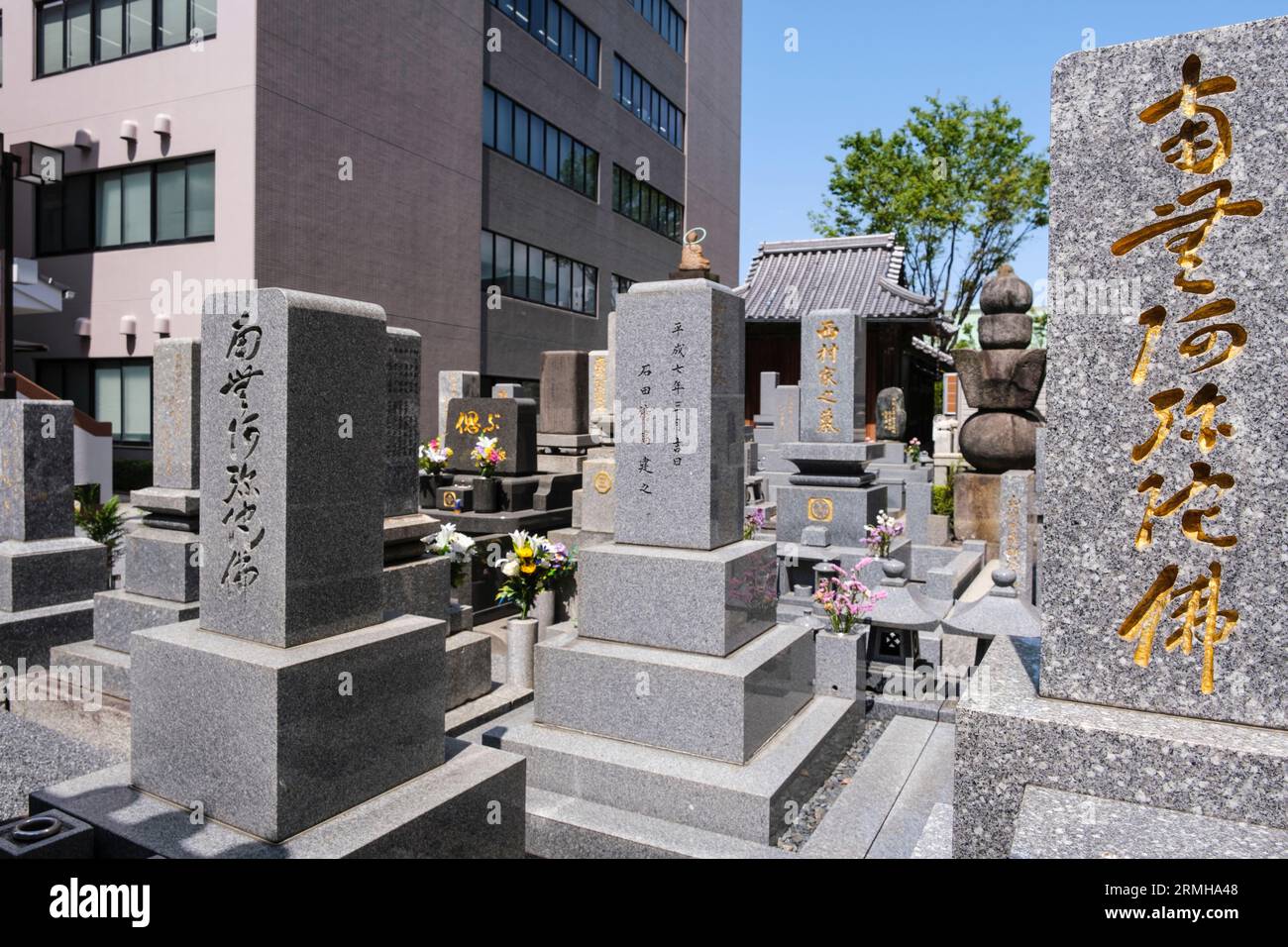 Giappone, Fukuoka. Lapidi del cimitero urbano. Foto Stock