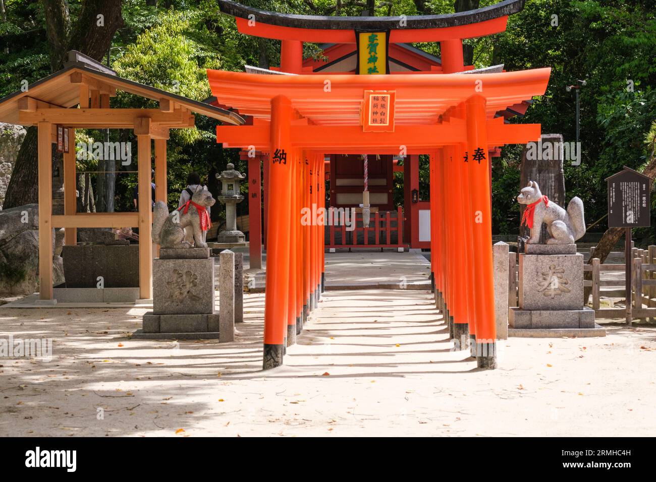 Giappone, Fukuoka, Kyushu. Santuario shintoista Sumiyoshi. Foxes Guardiane (Kitsune) alla porta Torii all'interno del complesso del Santuario. Foto Stock