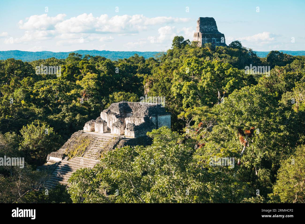 Tempio i, parte delle rovine di un'antica città maya nel parco archeologico di Tikal, Guatemala Foto Stock