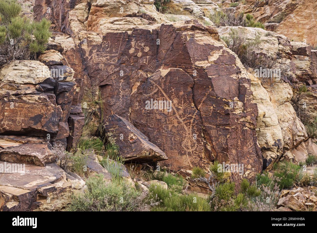 Petroglifi o arte rupestre dei nativi americani a Parawan Gap nello Utah Foto Stock