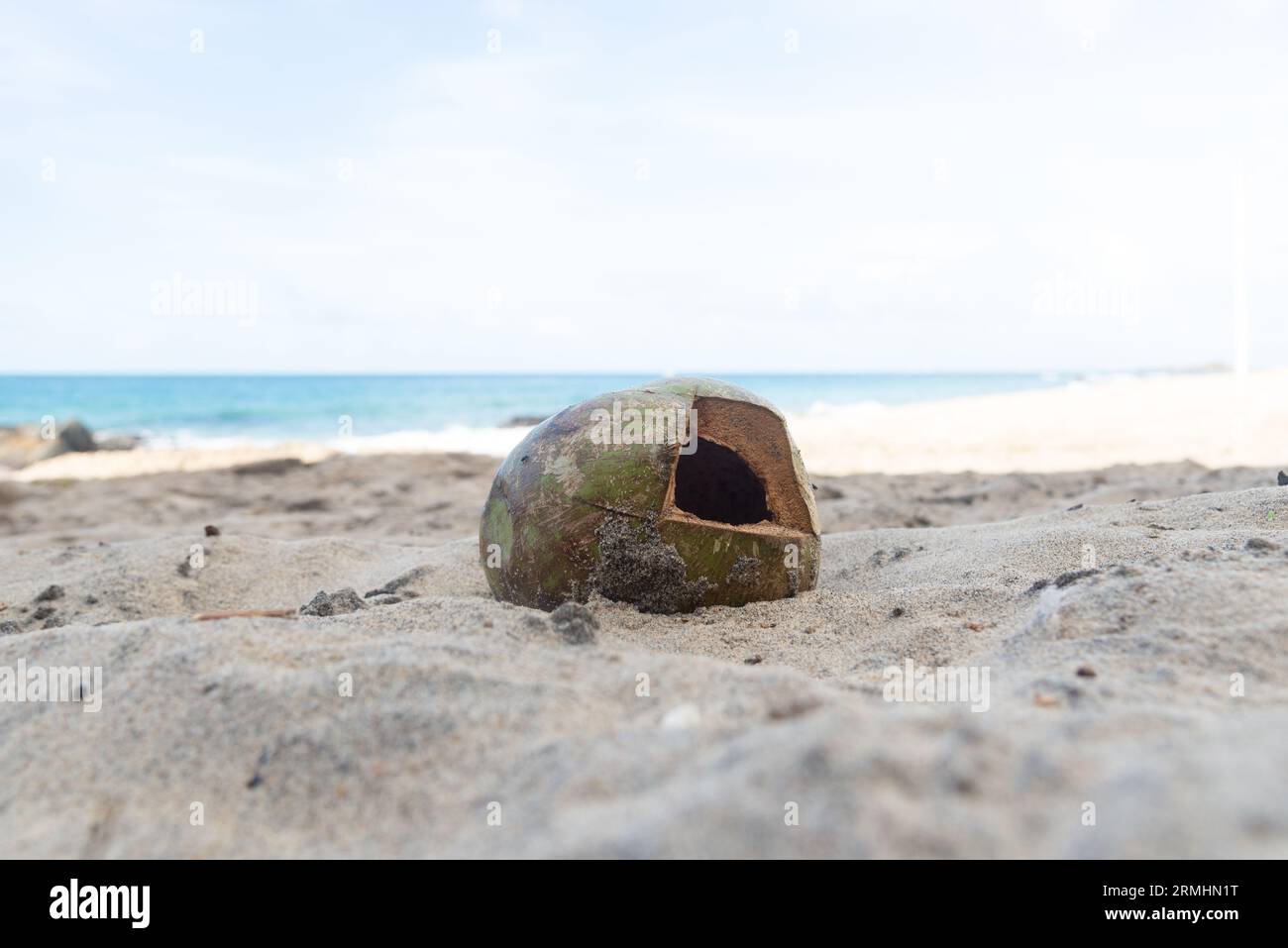Una noce di cocco con un buco gettato nella sabbia sulla spiaggia. Mancanza di consapevolezza dell'ambiente. Foto Stock