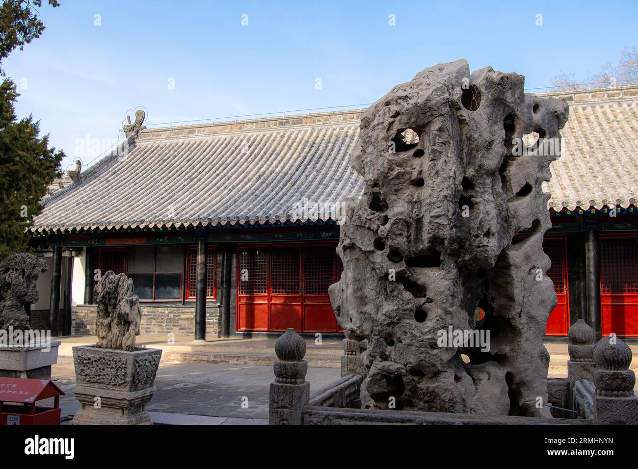 Resti di un antico cipresso e dell'unico grano di legno, il tempio di Confucio nella città di Qufu, nella provincia di Shandong in Cina. Foto Stock