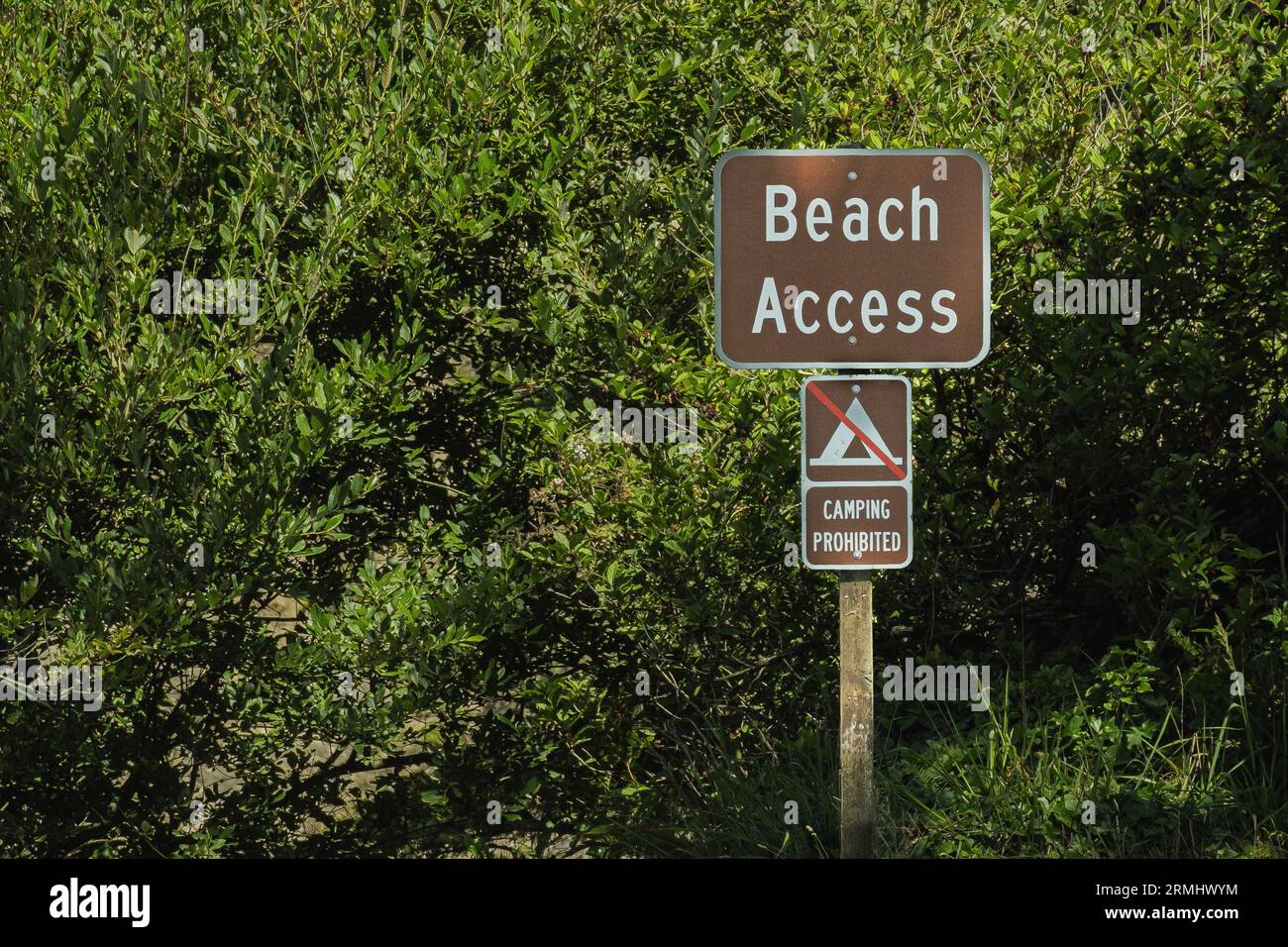 Accesso alla spiaggia non è indicato il campeggio all'inizio del sentiero per la spiaggia presso il sito ricreativo di Arcadia Beach. Foto Stock