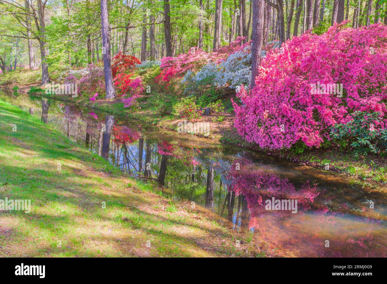 Scena del giardino all'Azalea Overlook Garden ai Callaway Gardens a Pine Mountain, Georgia. Foto Stock