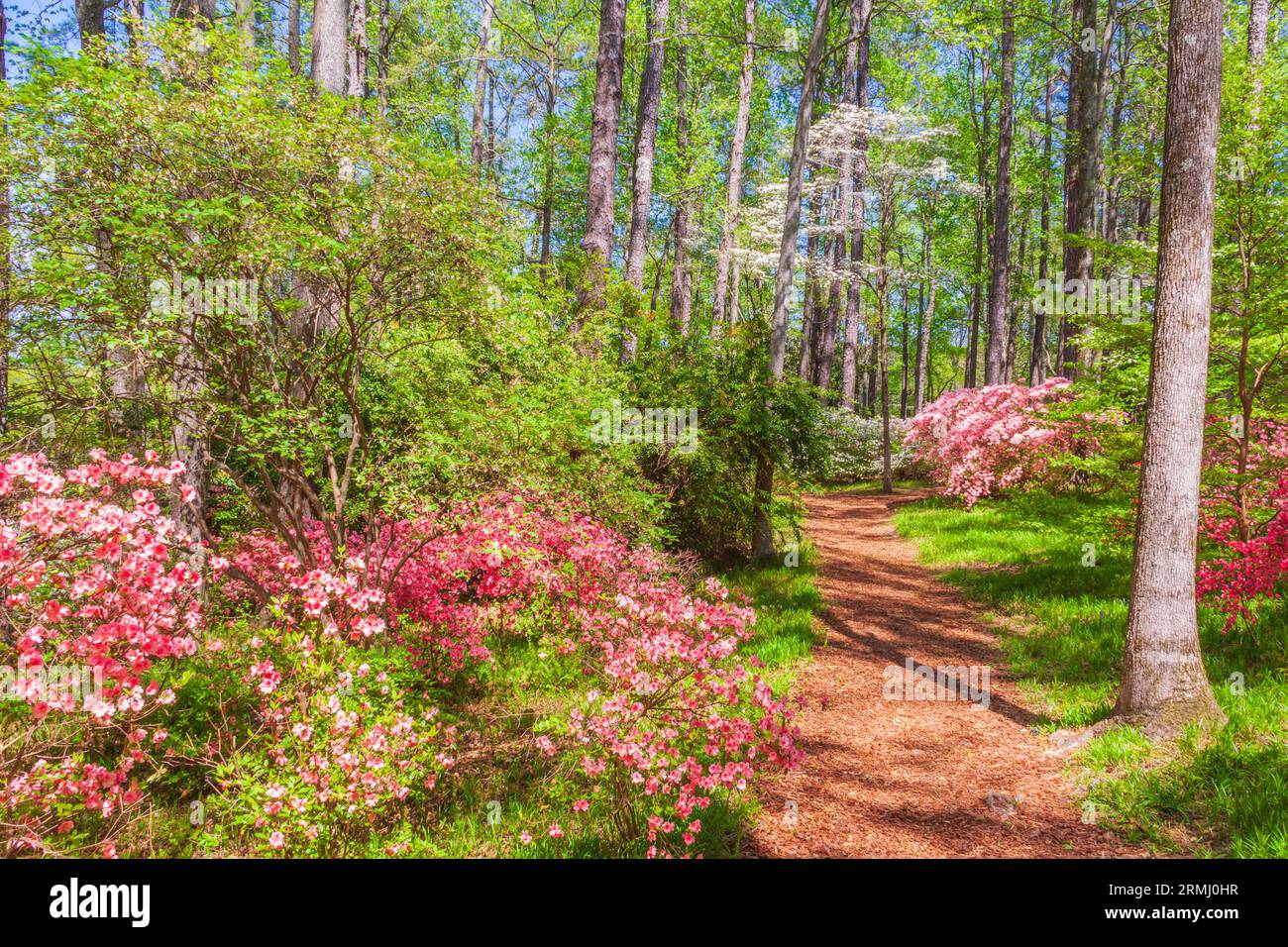 Scena del giardino all'Azalea Overlook Garden ai Callaway Gardens a Pine Mountain, Georgia. Foto Stock