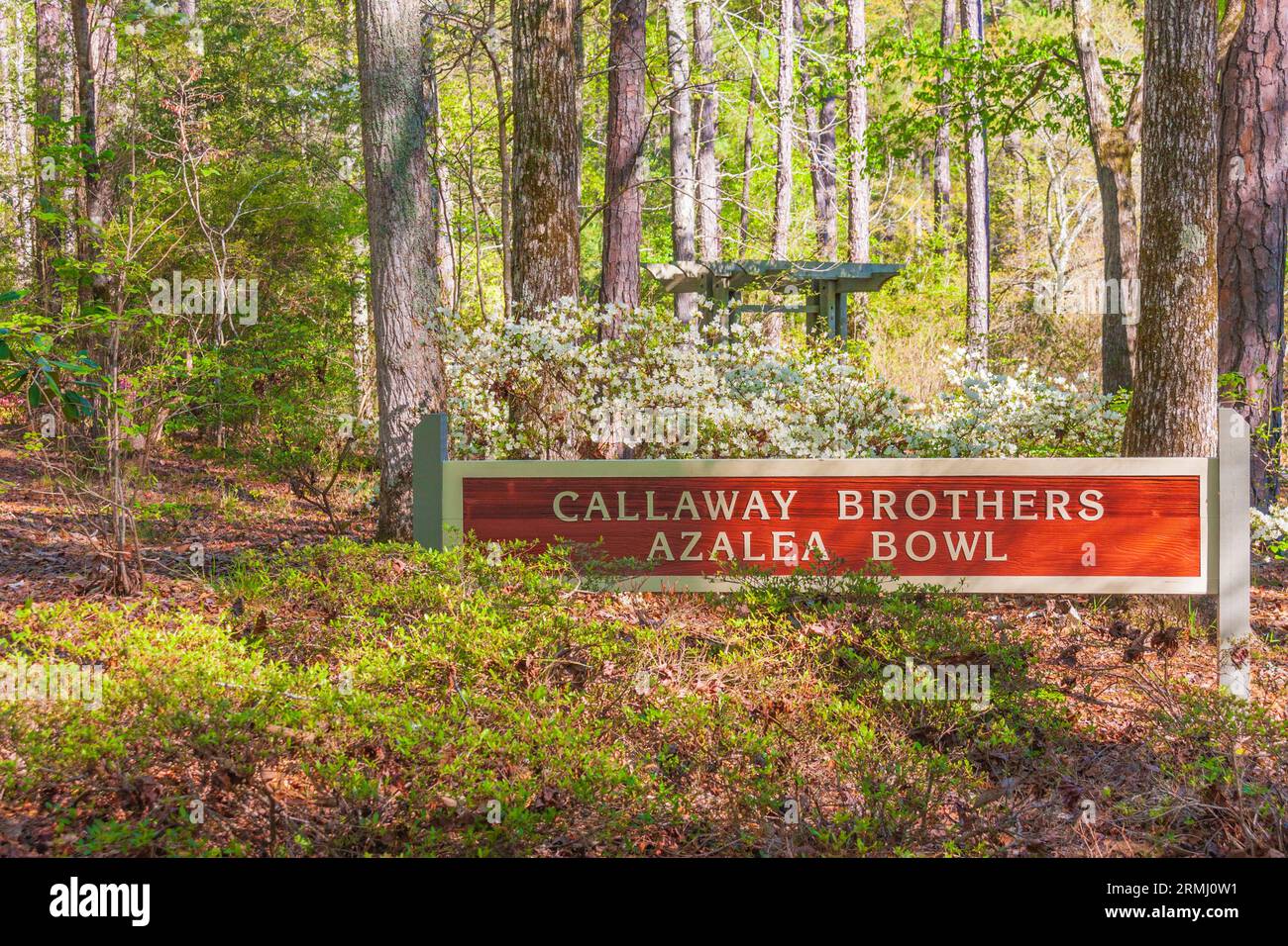Giardino e insegna all'Azalea Bowl in aprile ai Callaway Gardens di Pine Mountain, Georgia. Foto Stock