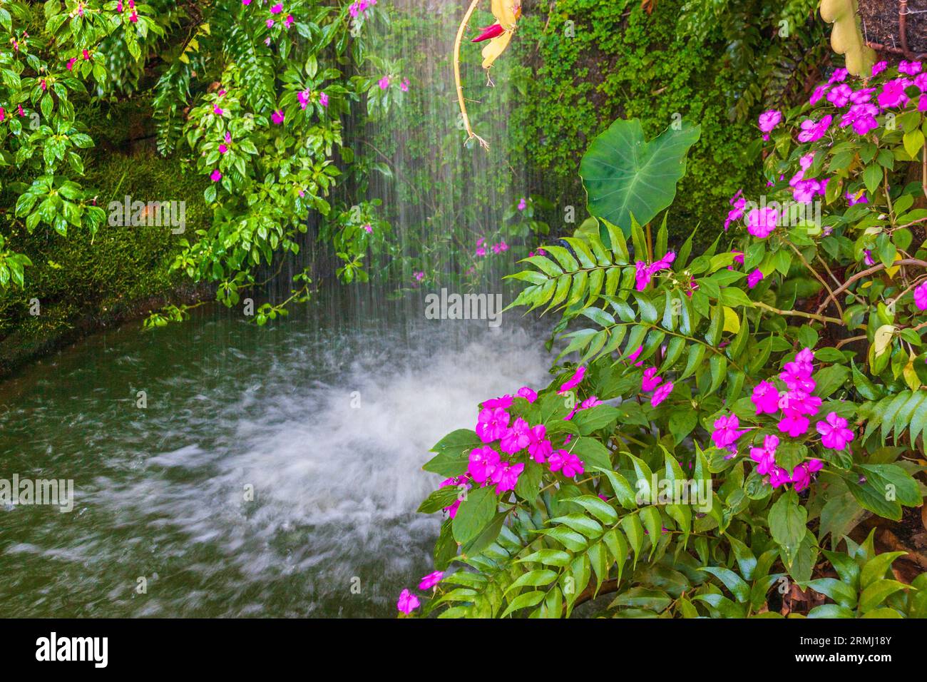Cascata e giardino al coperto nel Sibley Horticultural Center a Callaway Gardens a Pine Mountain, Georgia. Foto Stock