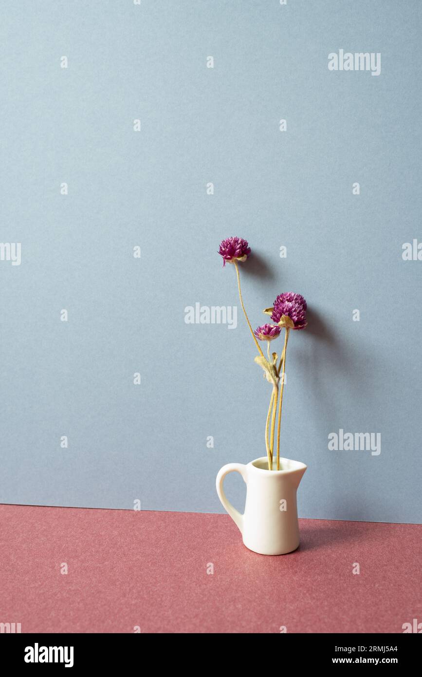 Interni di casa. Vaso bianco di fiore secco viola su tavolo rosso. sfondo a parete grigio Foto Stock