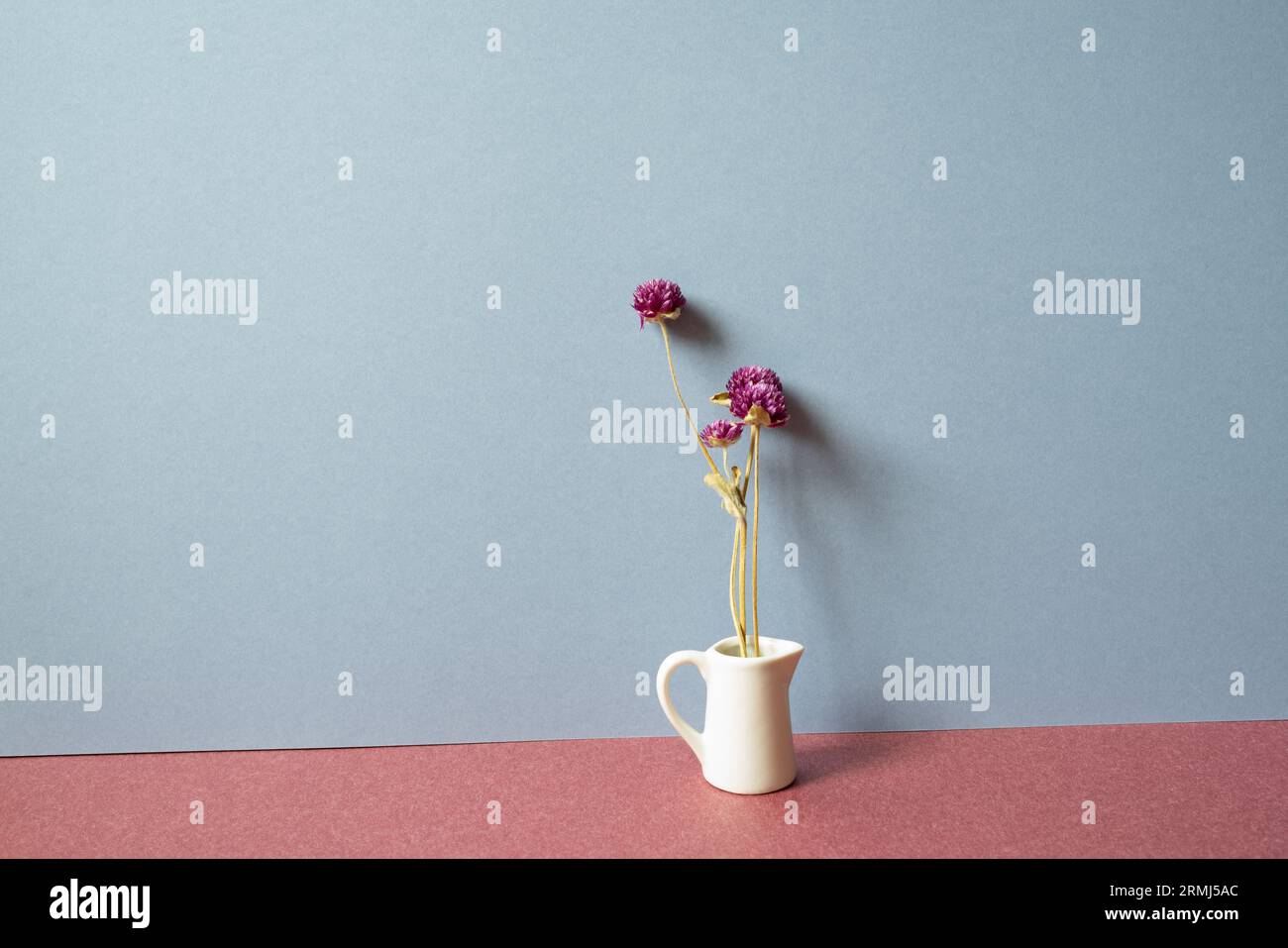 Interni di casa. Vaso bianco di fiore secco viola su tavolo rosso. sfondo a parete grigio Foto Stock