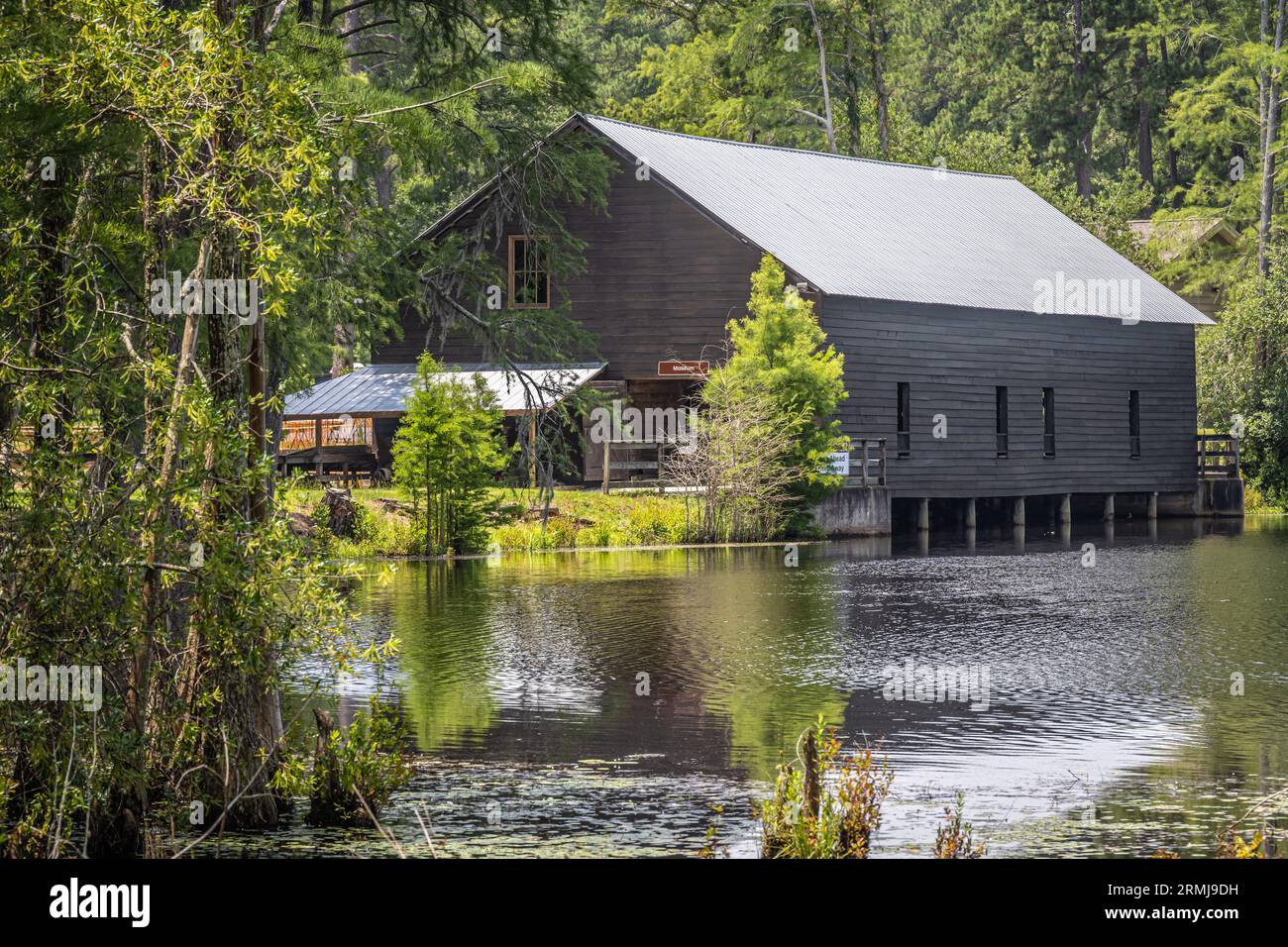 Storico ponte coperto Parrish Mill del XIX secolo, mulino per il mulino, segheria e cotone gin al George L. Smith State Park a Twin City, Georgia. (USA) Foto Stock