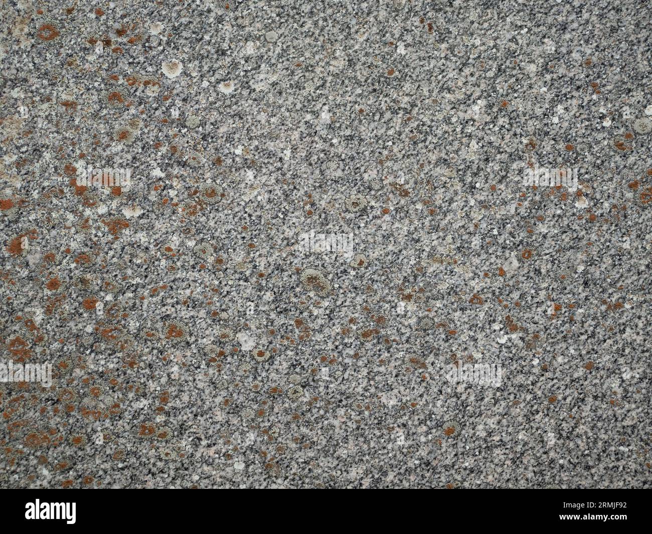 sfondo orizzontale in pietra granitica grigia con lichene arancione. Foto Stock