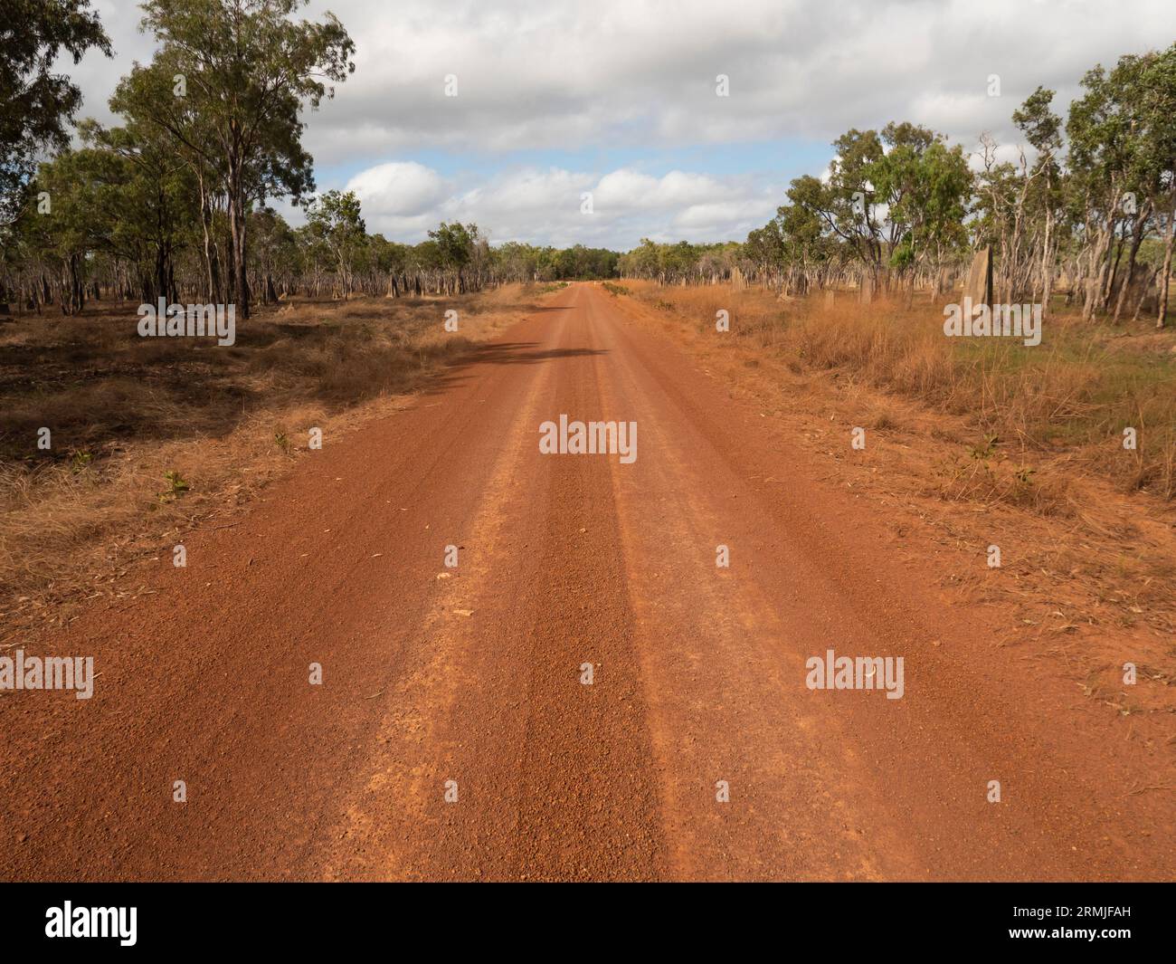 Pista non sigillata di terra rossa a Cape York, nel Queensland dell'estremo nord che taglia attraverso il cespuglio dell'entroterra. Foto Stock