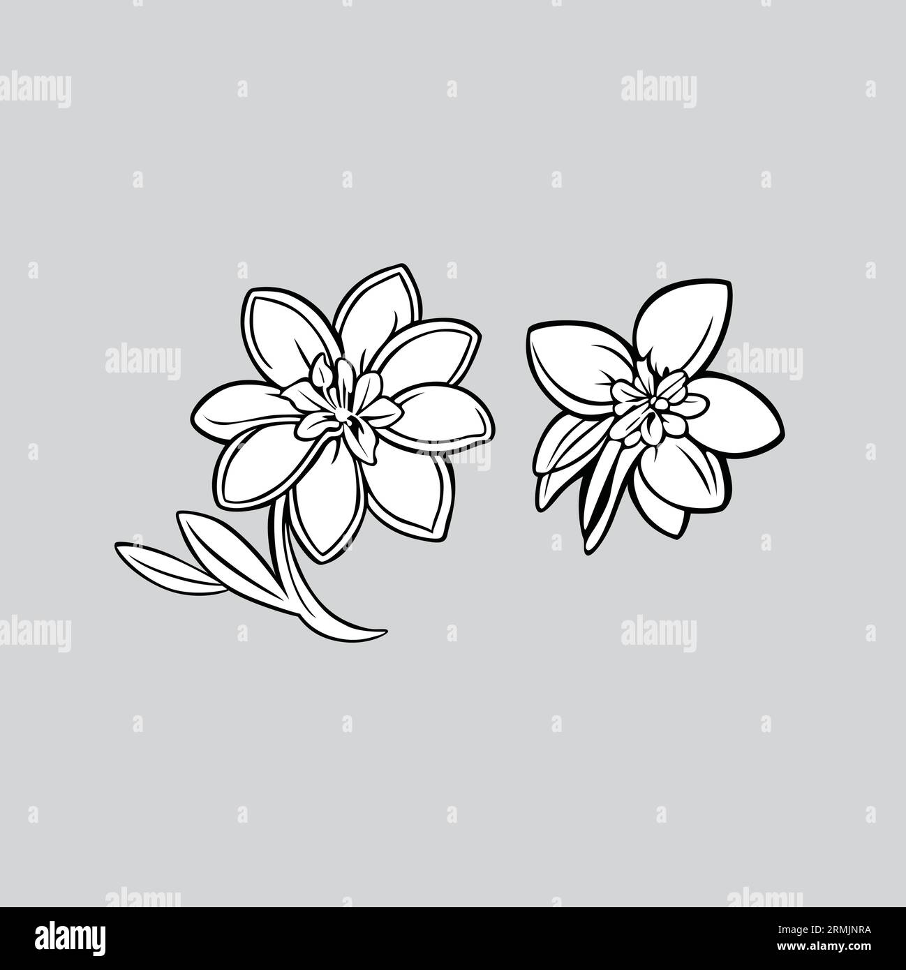 Tipi di contorno del vettore di fiori su sfondo bianco Illustrazione Vettoriale