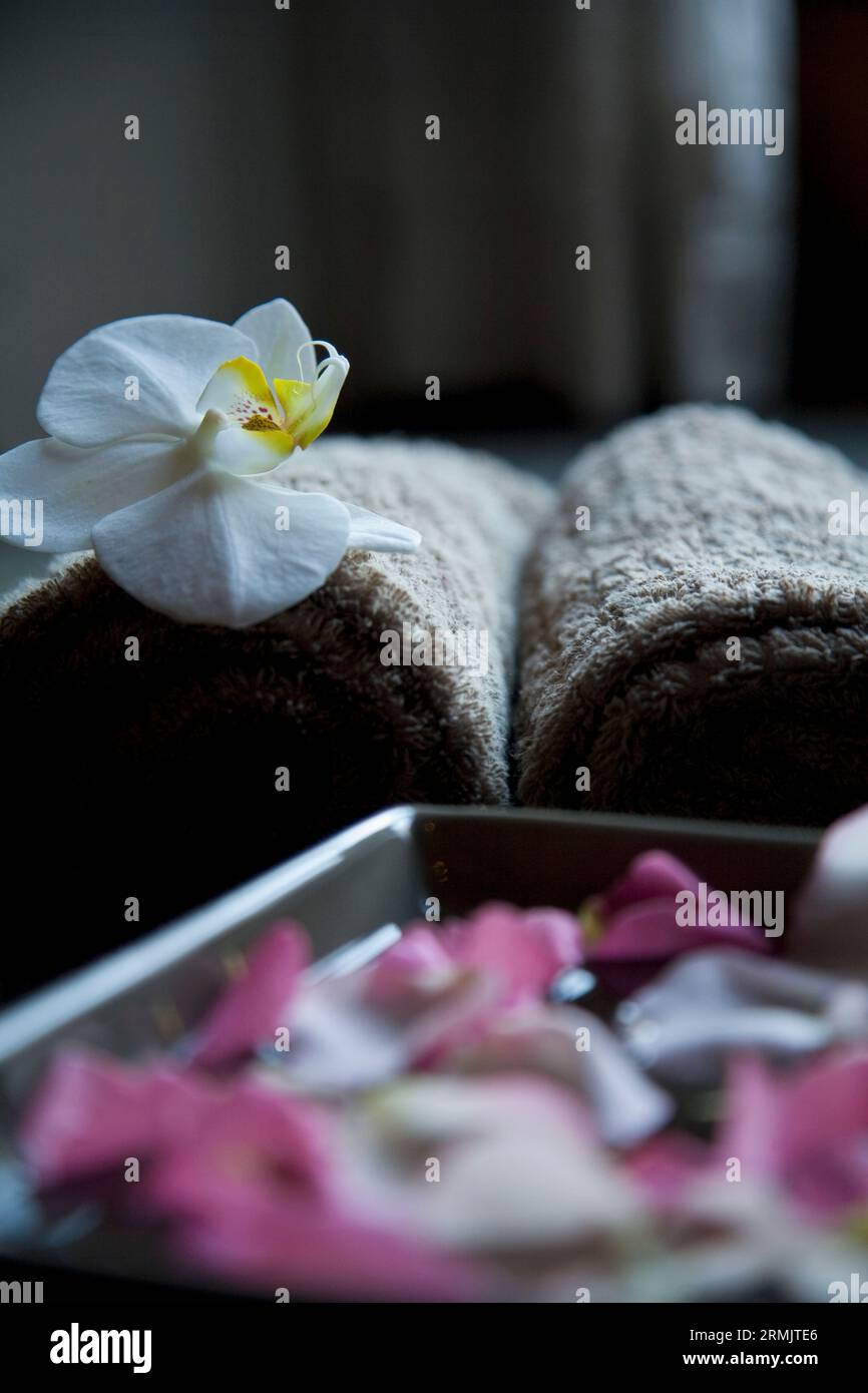 Rosa petali flottante in piazza ciotola con asciugamani marrone Foto Stock