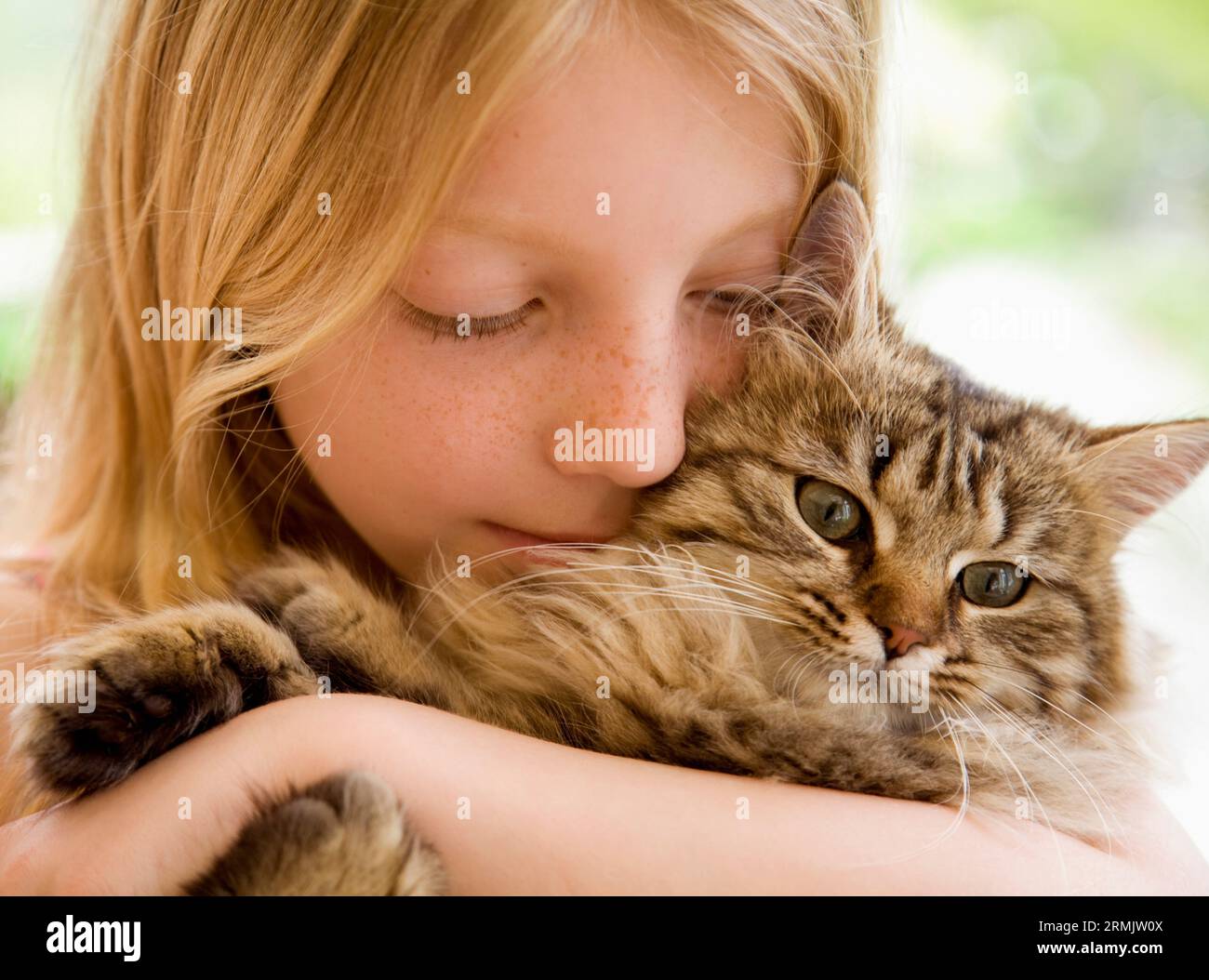 Close up della ragazza giovane costeggiata gattino Foto Stock
