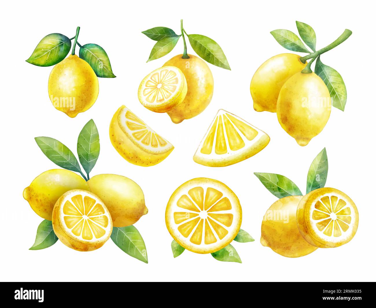 Set di frutti di limone ad acquerello su fondo bianco vettoriale, ogni pezzo può separarli Illustrazione Vettoriale