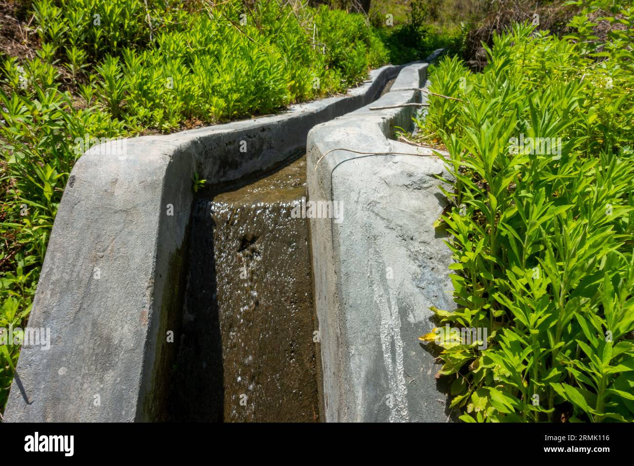 Tranquillo terreno agricolo di campagna nella regione Garhwal di Uttarakhand, che presenta un canale di irrigazione sottile come parte del sistema di gestione delle acque rurali. Foto Stock