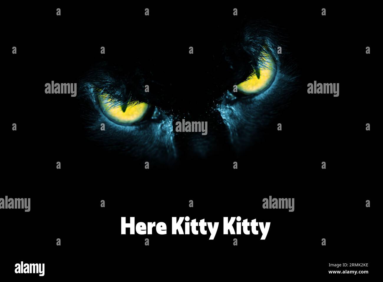 Qui Kitty Kitty Design: Occhi spaventosi su un gatto su sfondo nero Foto Stock