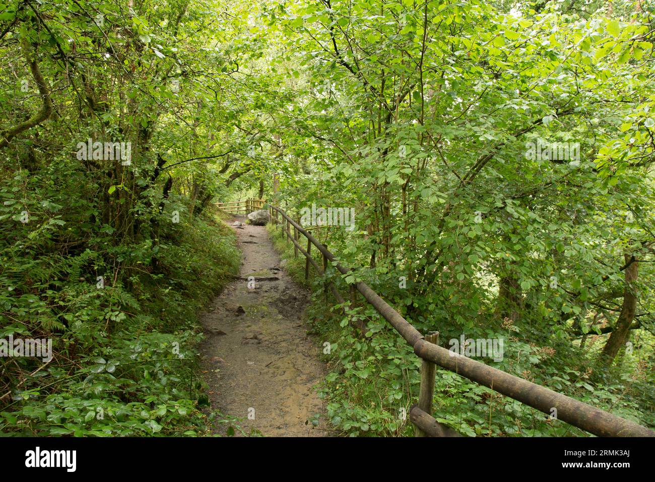 Quattro cascate Gwaun Hapste Brecon Beacons, Bannau Brycheiniog Galles Foto Stock