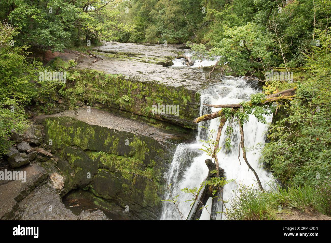 Quattro cascate Gwaun Hapste Brecon Beacons, Bannau Brycheiniog Galles Foto Stock