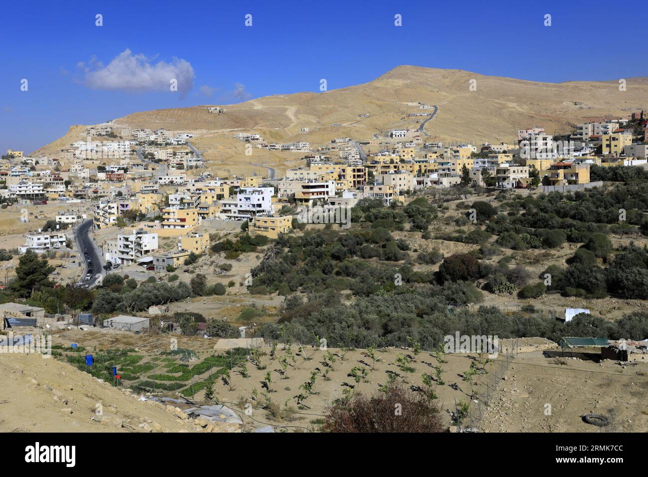 Vista delle case e delle strade della città di Wadi Musa, Giordania, Medio Oriente Foto Stock