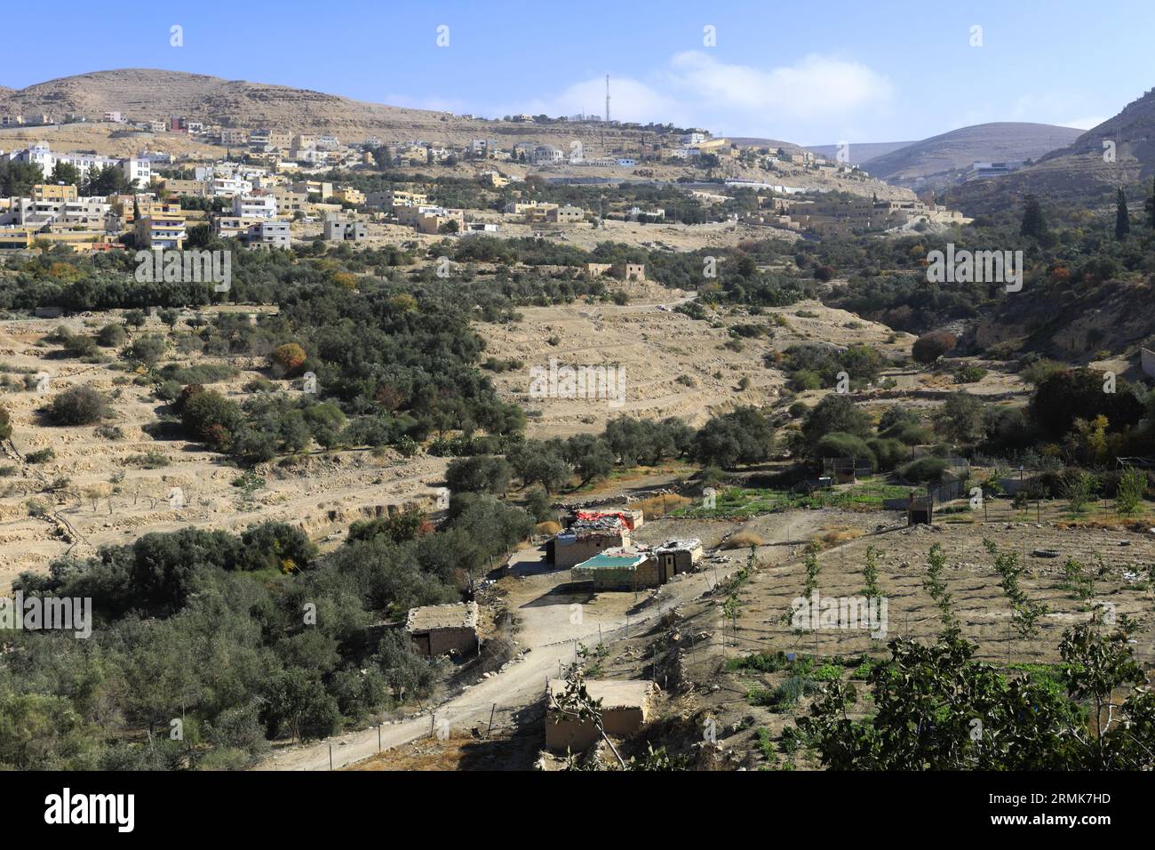 Vista delle case e delle strade della città di Wadi Musa, Giordania, Medio Oriente Foto Stock