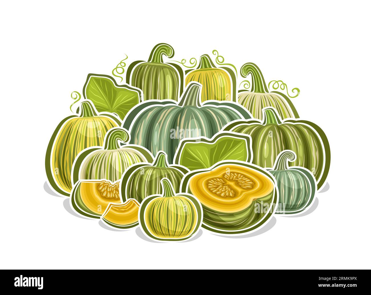 Logo vettoriale per Kabocha, poster orizzontale decorativo con disegno a cartoni animati composizione vegetariana zucca verde, stampa vegana con varietà intere e tagliate Illustrazione Vettoriale