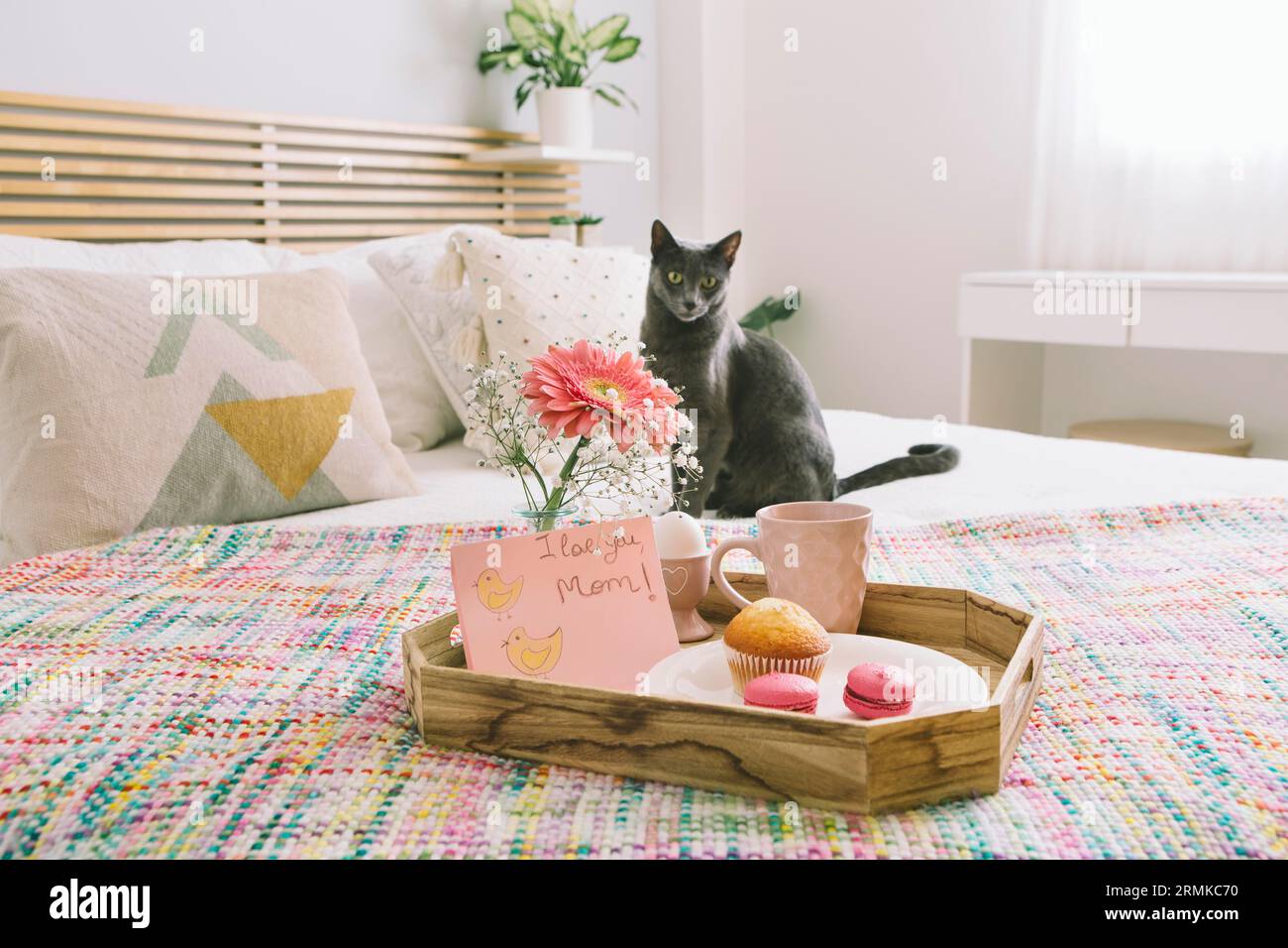 Ti amo l'iscrizione della mamma con vassoio gerbera Foto Stock