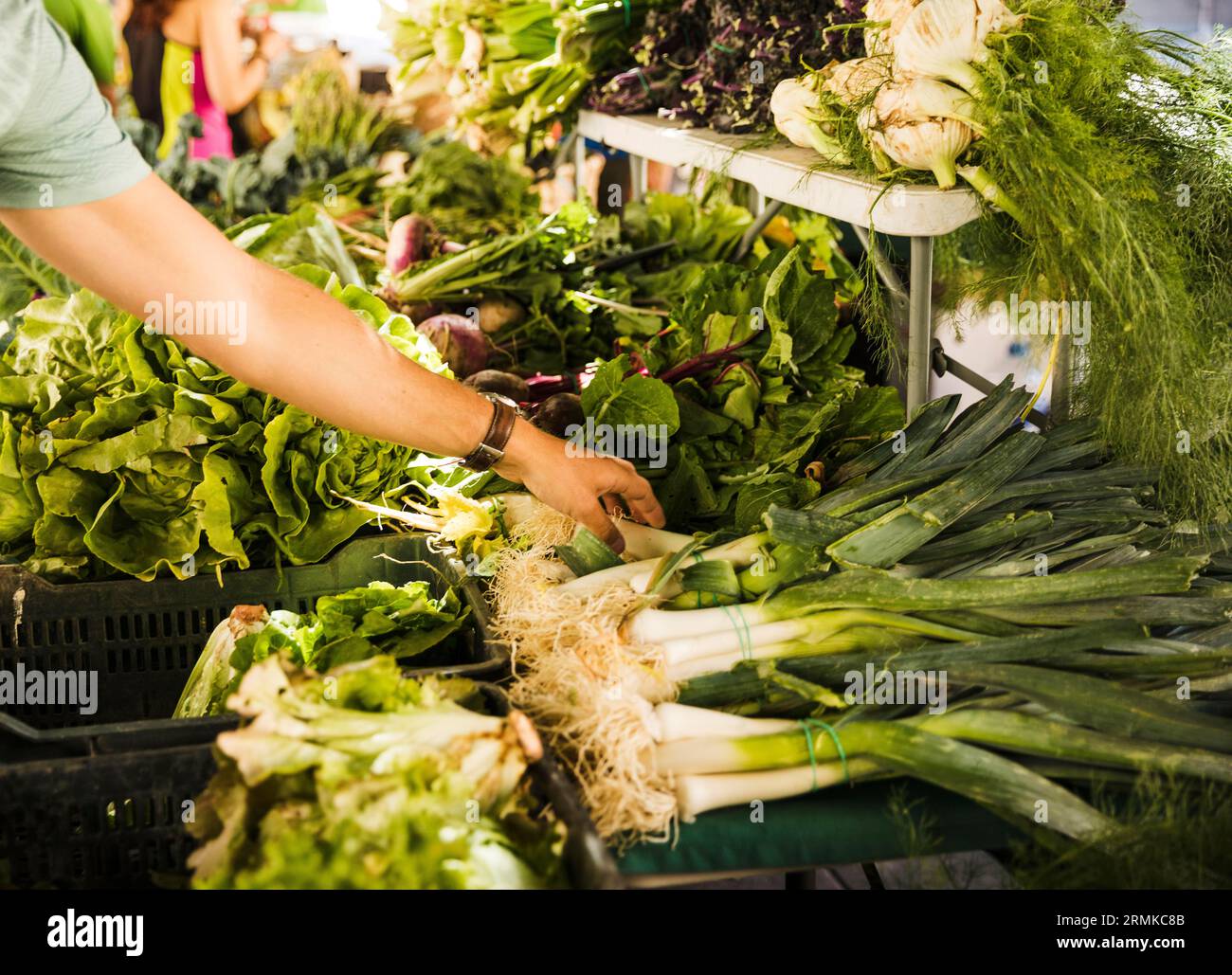 Mano del consumatore maschile che sceglie una bancarella verde di mercato di verdure fresche Foto Stock