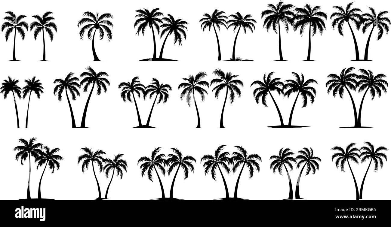 Questo set di illustrazioni dettagliate della silhouette di palme e palme da cocco in nero è perfetto per aggiungere un tocco di paradiso tropicale al tuo design Illustrazione Vettoriale